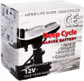 Аккумулятор Marine Deep Cycle AGM 100Ah 12V (6FM100D-X)